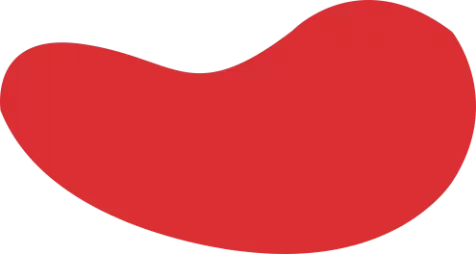 金年会 (中国)官方网站-Jin Nian Hui Sports